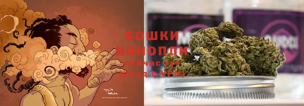 PSILOCYBIN Бородино