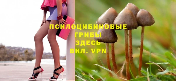 не бодяженный Бронницы