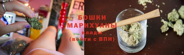 PSILOCYBIN Бородино