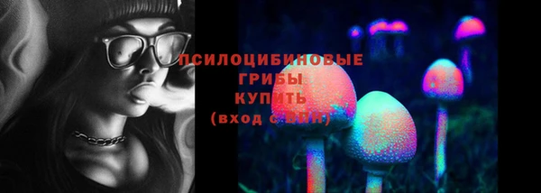 PSILOCYBIN Бородино