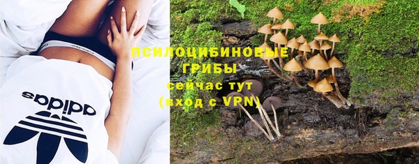PSILOCYBIN Бородино