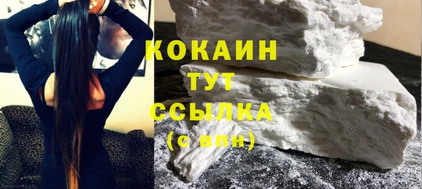 PSILOCYBIN Бородино