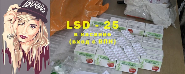 PSILOCYBIN Бородино