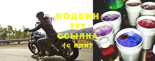 PSILOCYBIN Бородино