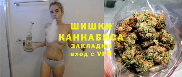 PSILOCYBIN Бородино