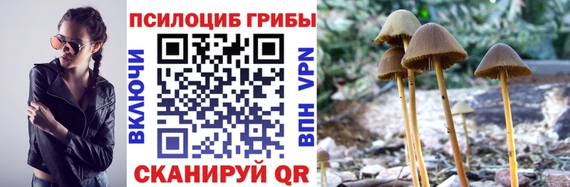 OMG   Мончегорск  Галлюциногенные грибы Magic Shrooms 